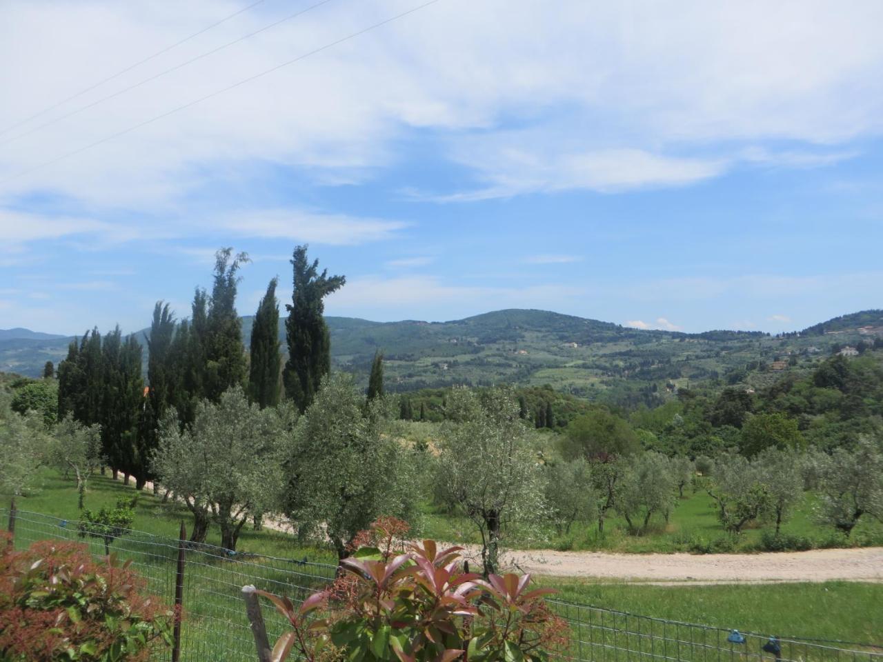 Villa Le Statue Florence Luaran gambar